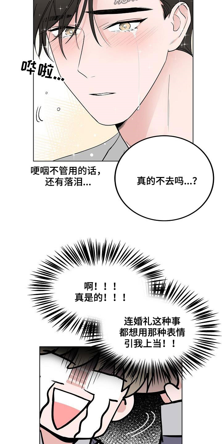 猫狗奇闻漫画,第64章：去结婚2图