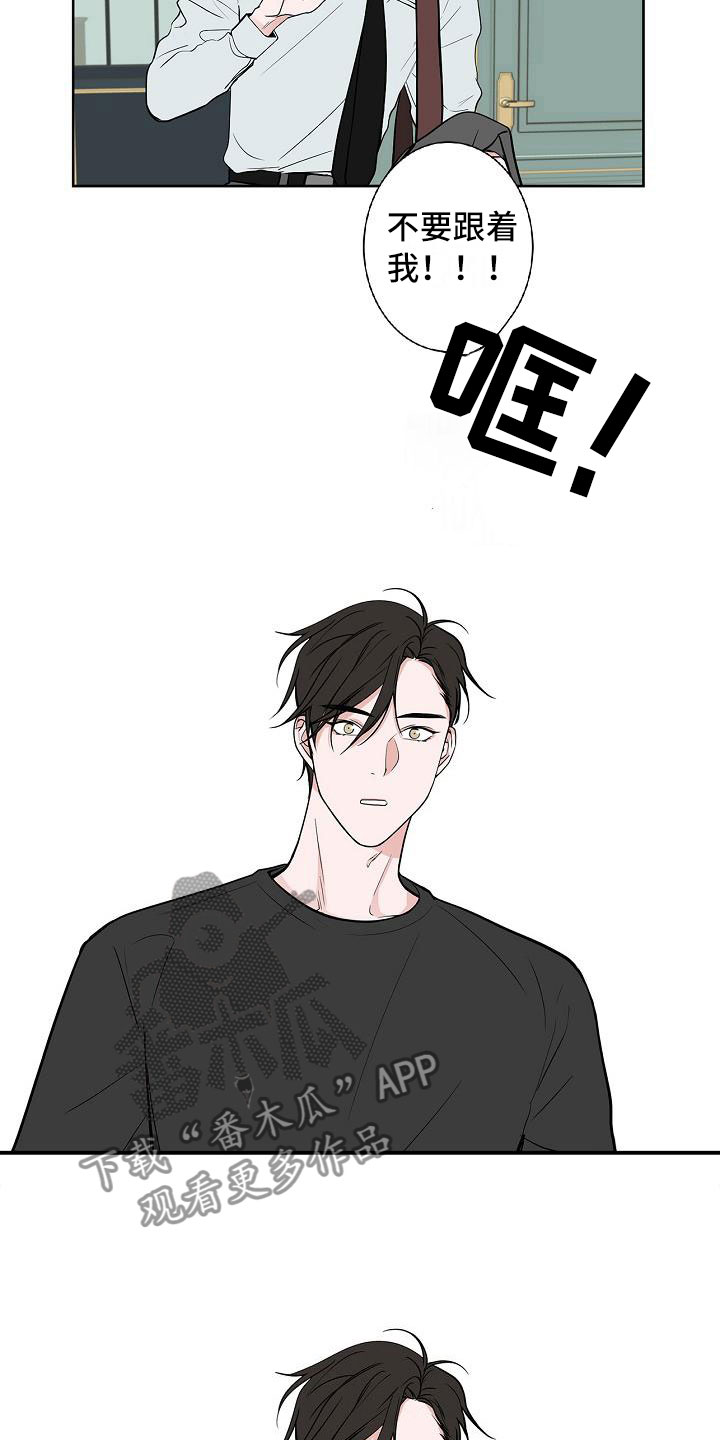 猫狗可爱视频漫画,第9章：伤心欲绝2图