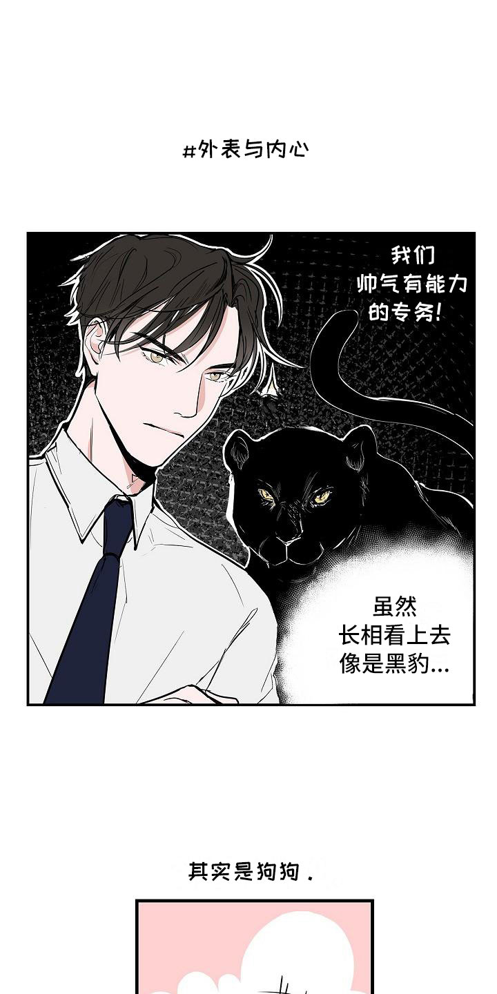 猫狗攻防战漫画,第2章：反差2图