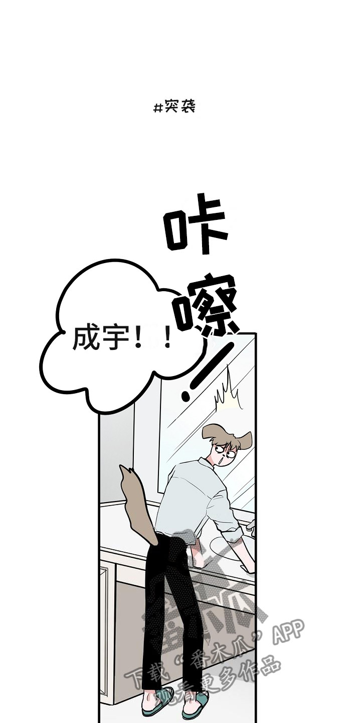 猫狗攻防战漫画,第7章：厚脸皮3图
