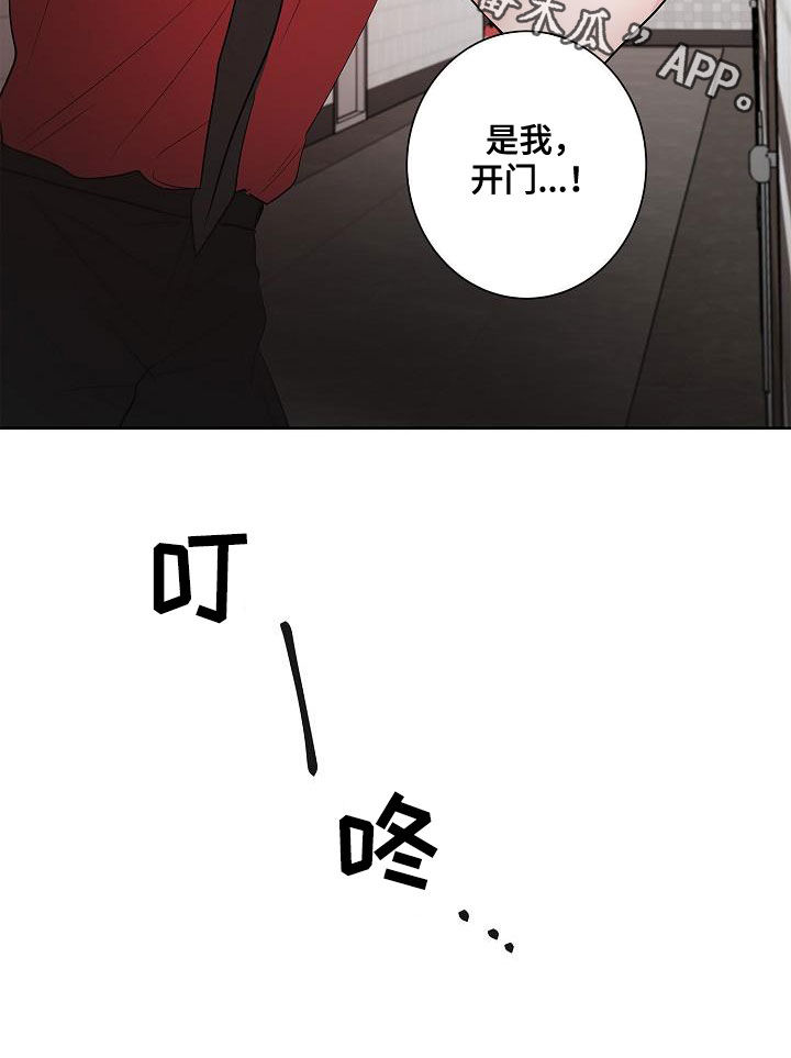 猫狗攻防战漫画,第50章：不死心3图