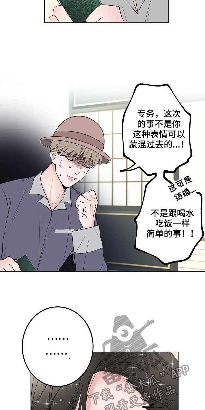 猫狗奇闻漫画,第64章：去结婚1图