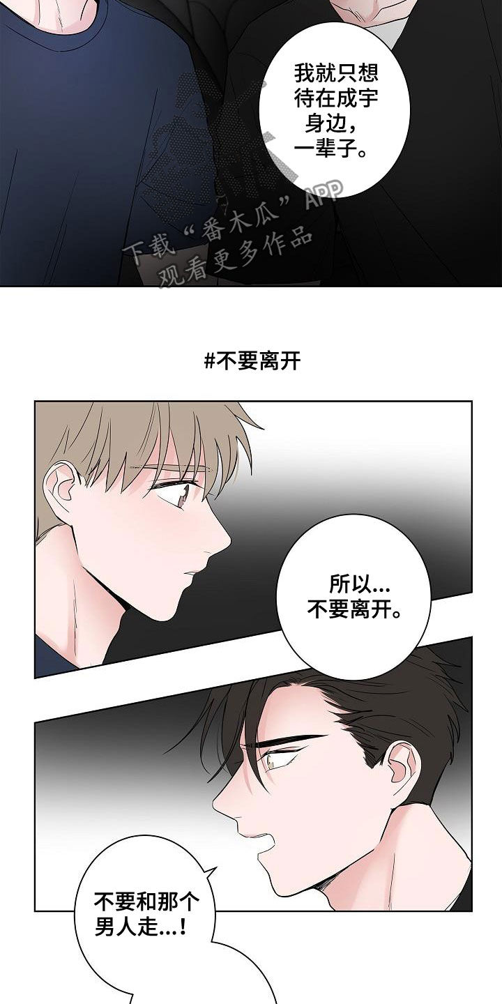 猫狗攻防战漫画,第54章：我喜欢你2图