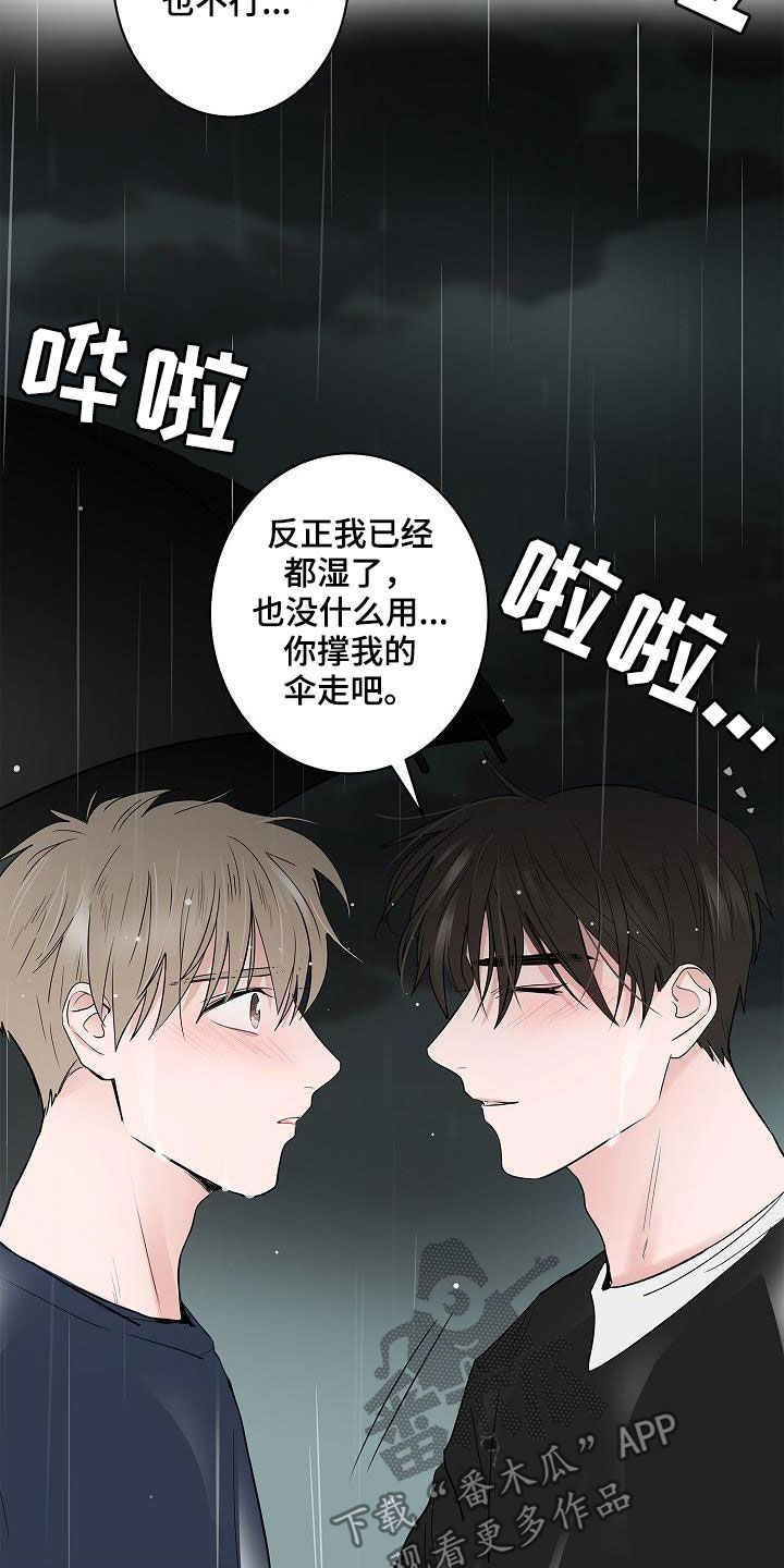 猫狗武林漫画,第54章：我喜欢你1图