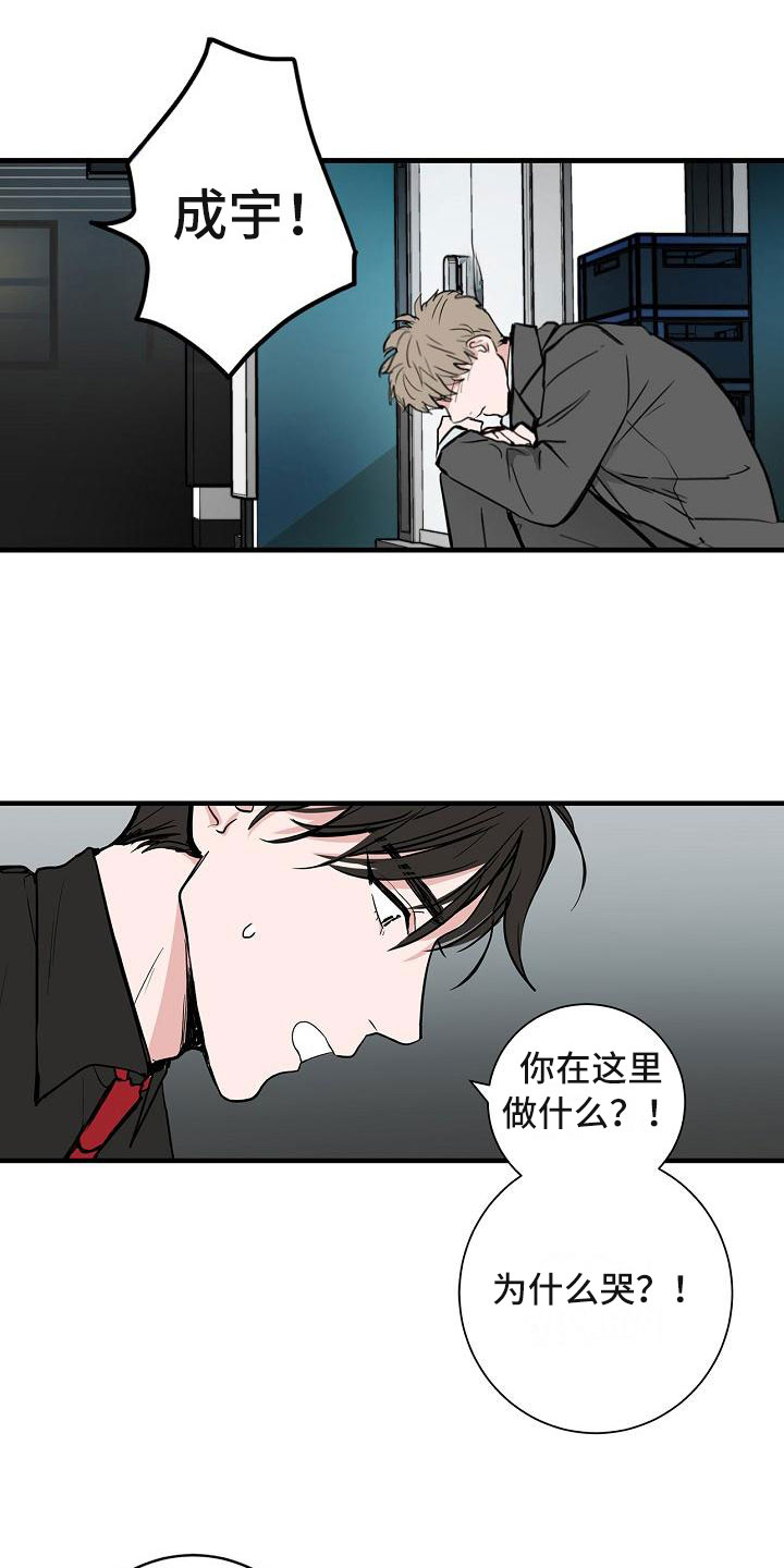 猫狗攻防战漫画,第6章：体贴3图