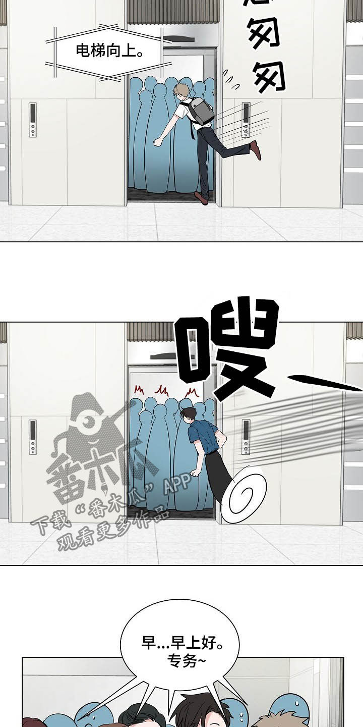 猫狗攻防战漫画,第36章：紧追不舍2图