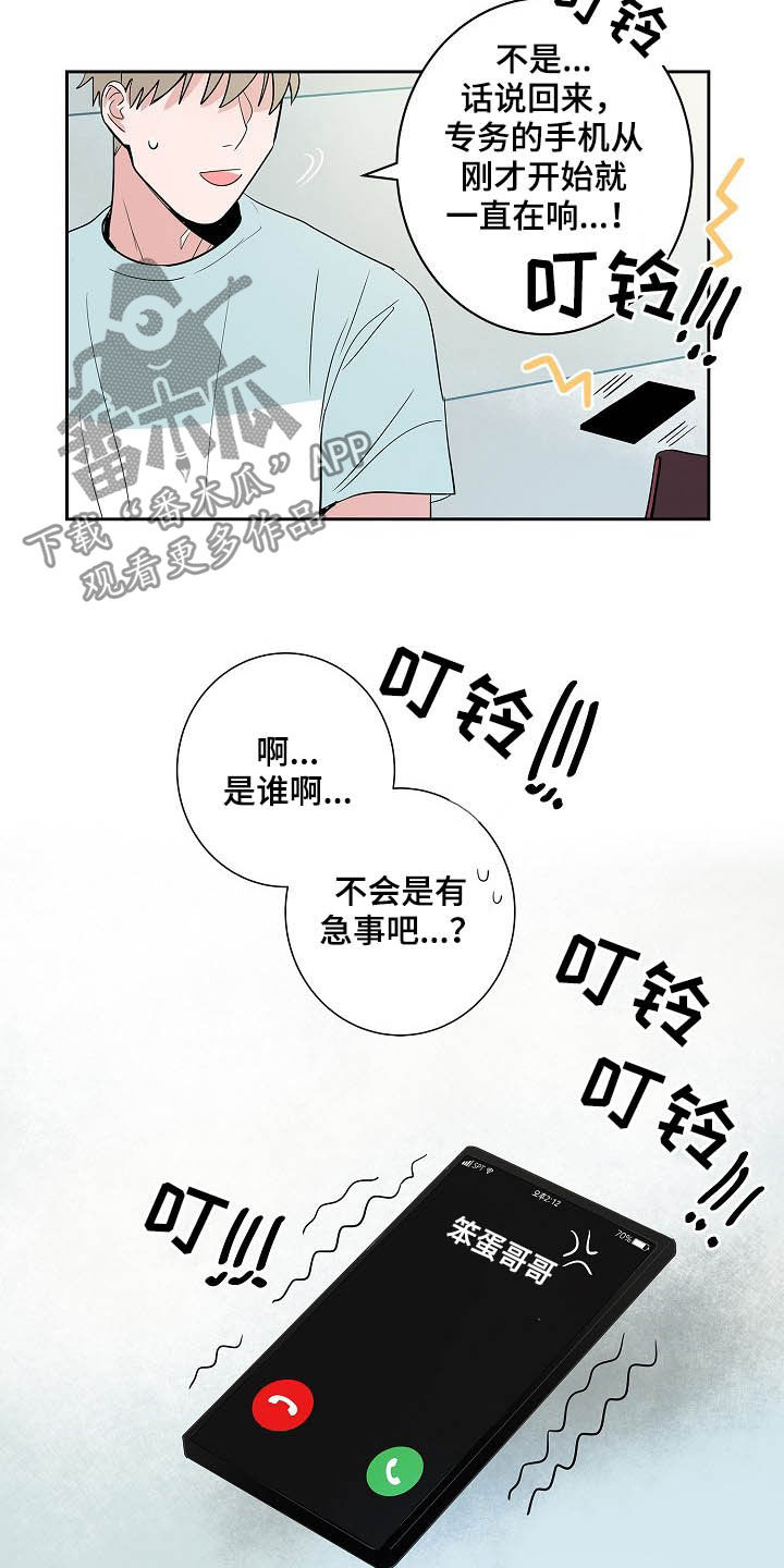 猫狗领地战视频漫画,第29章：电话3图