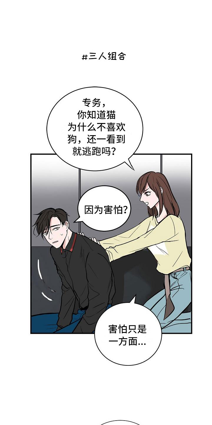猫狗日记加入过碎片商店吗漫画,第4章：狗兄弟2图