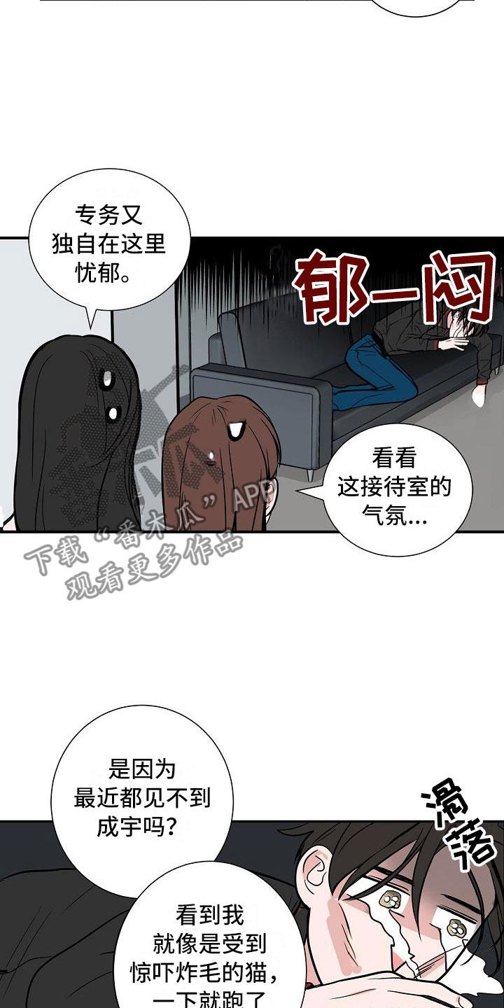 猫狗日记加入过碎片商店吗漫画,第4章：狗兄弟5图