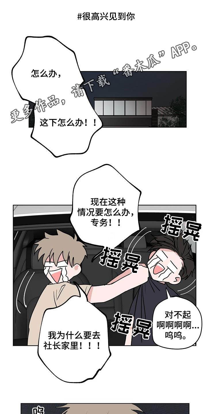 猫狗前世因果漫画,第40章：做客1图
