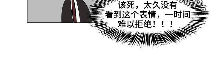 猫狗日记加入过碎片商店吗漫画,第22章：礼物5图