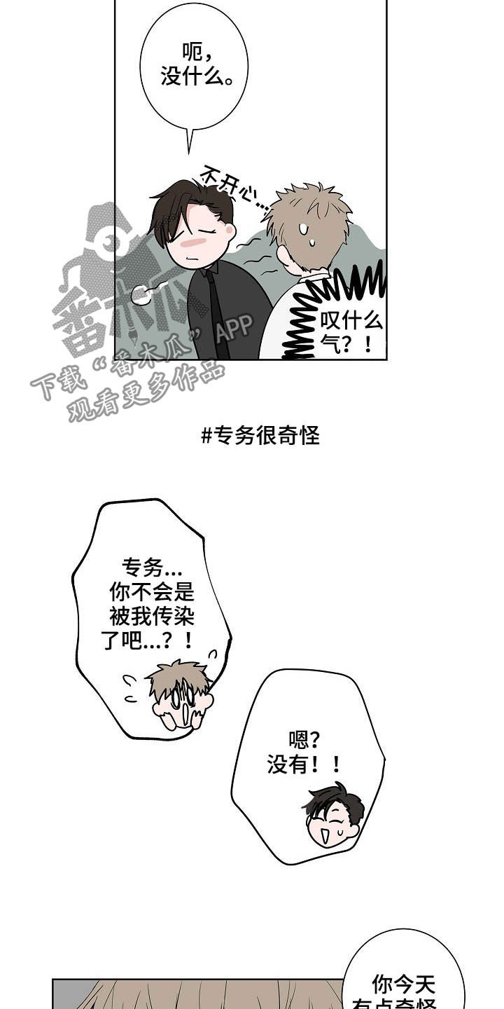 猫狗攻防战漫画,第21章：打听5图