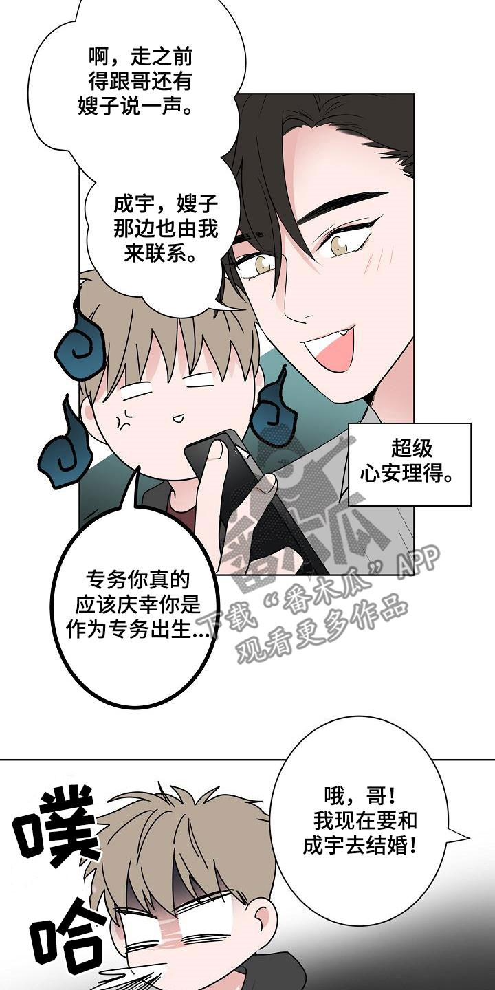 猫狗奇闻漫画,第64章：去结婚4图