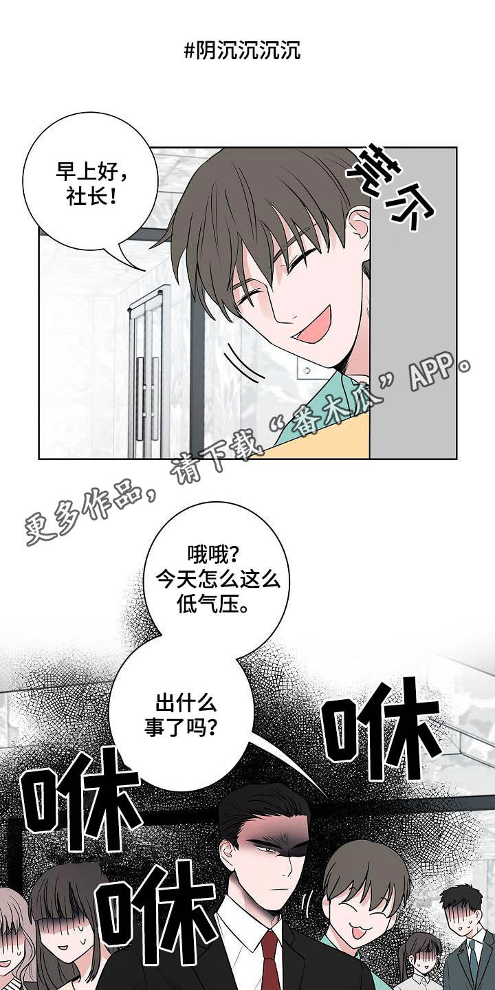 猫狗鼠漫画,第41章：误会大了1图