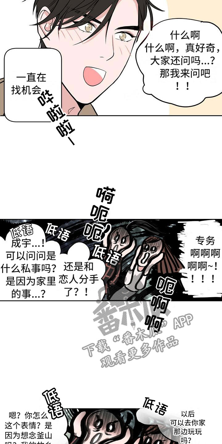 猫狗可爱视频漫画,第5章：扫雷3图