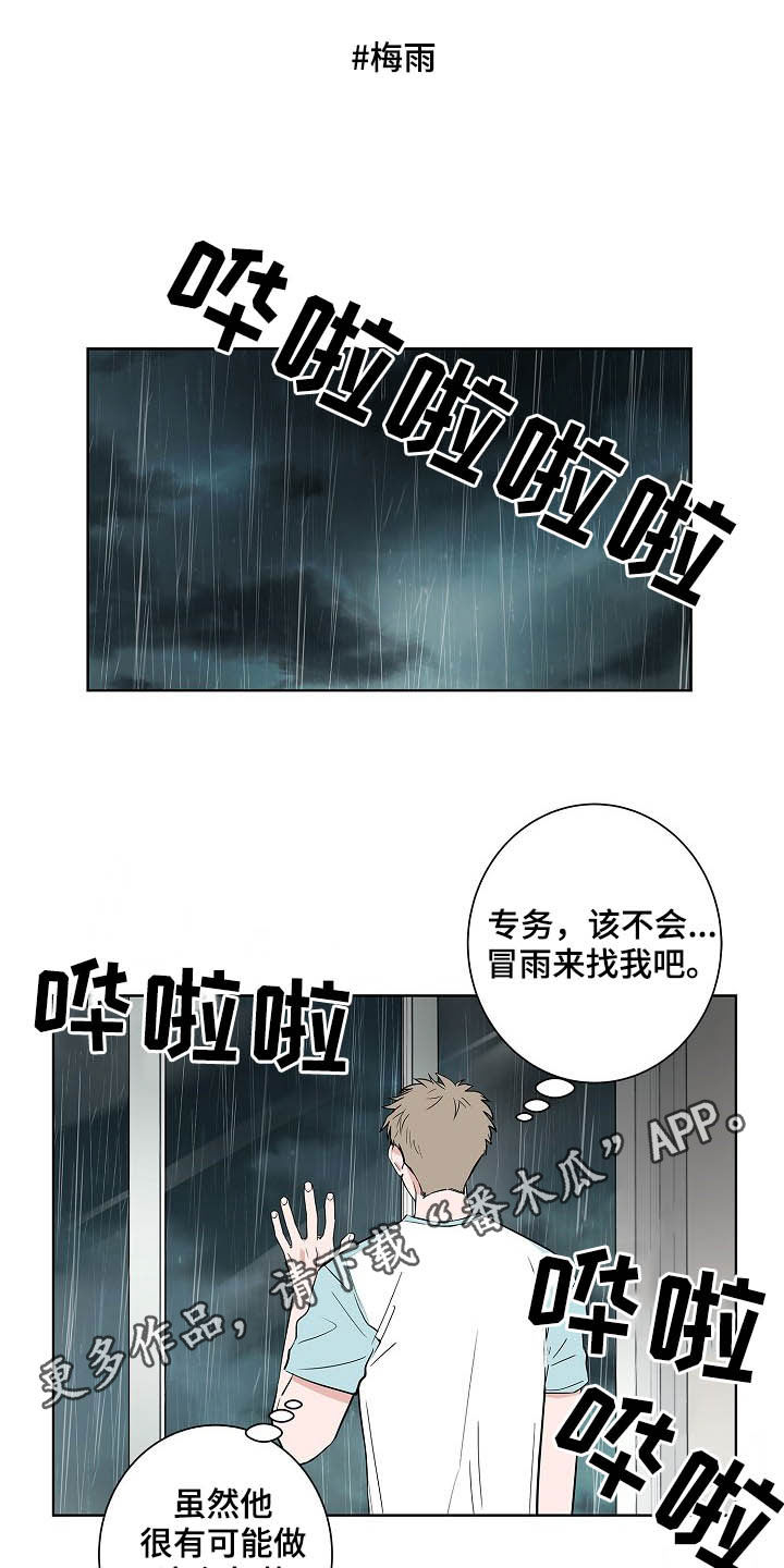 猫狗攻防战漫画,第37章：淋雨1图