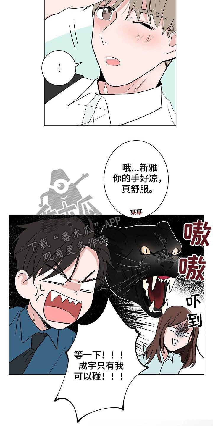 猫狗日记加入过碎片商店吗漫画,第36章：紧追不舍1图