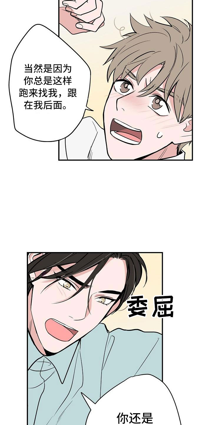 猫狗攻防战漫画,第3章：太狗了5图