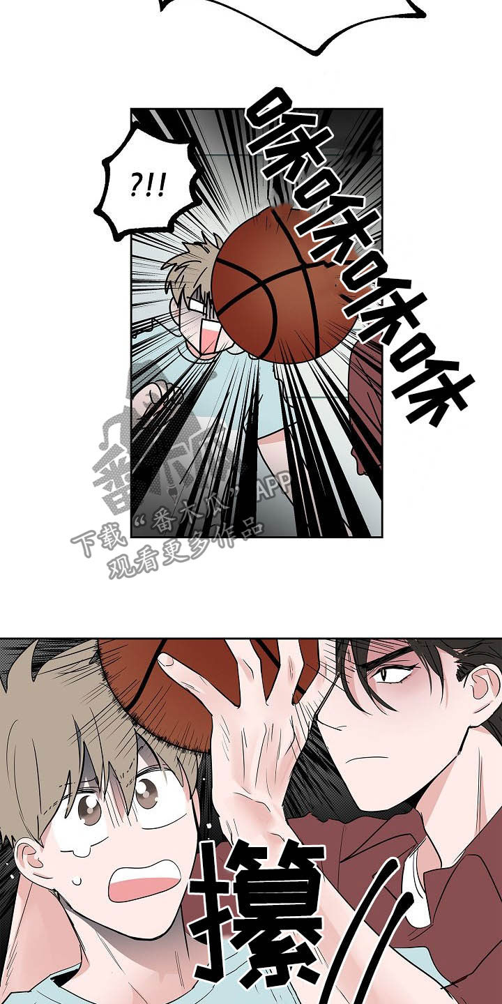 猫狗攻防战漫画,第29章：电话3图