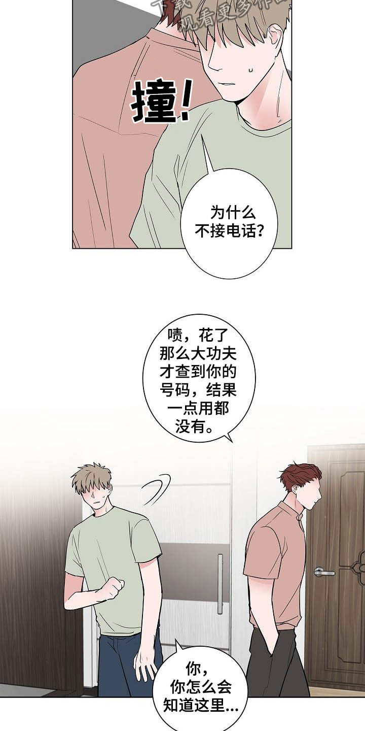 猫狗攻防战漫画,第46章：重逢4图