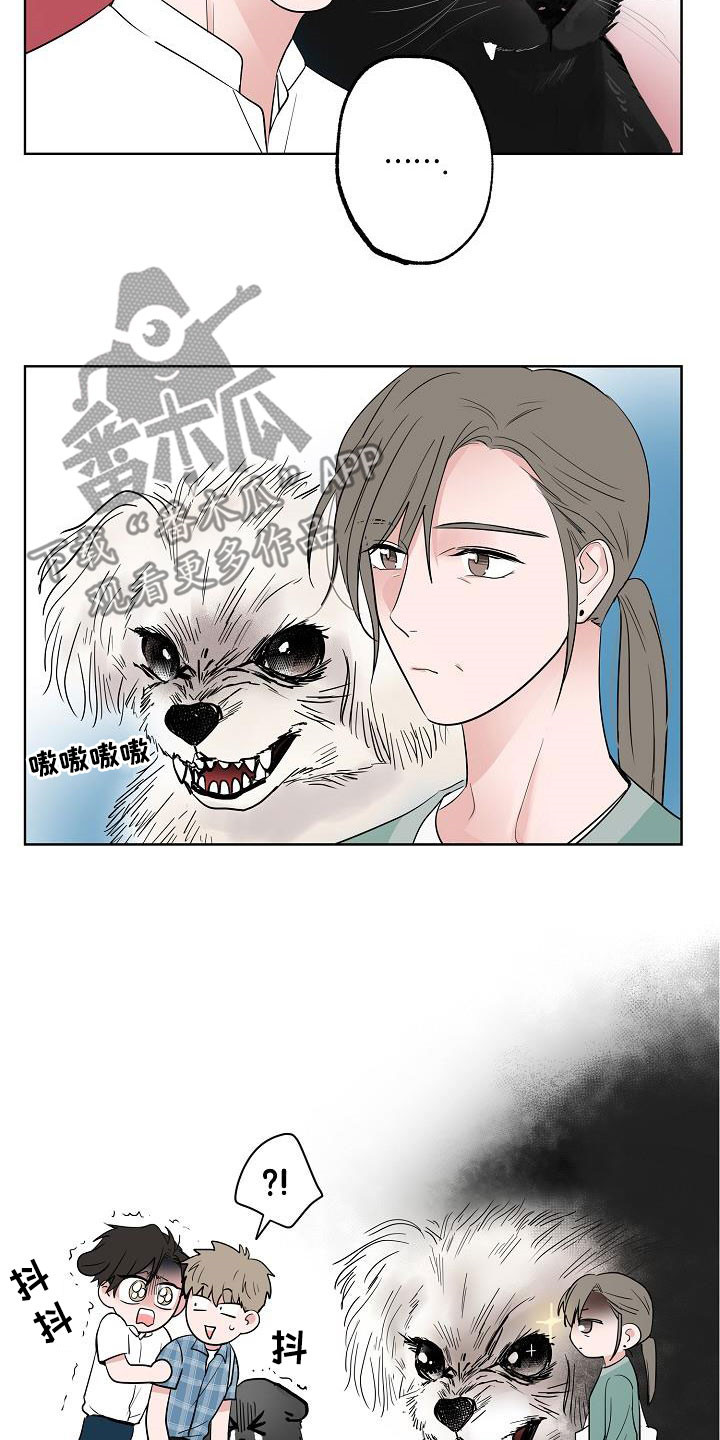 猫狗攻防战漫画,第60章：如释重负2图