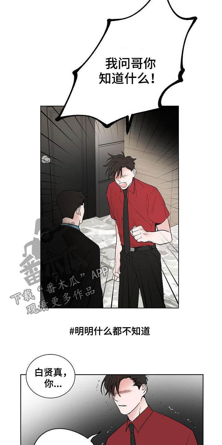 猫狗武林漫画,第49章：是因为我3图