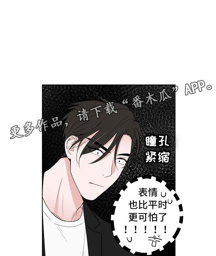 猫狗大战合集漫画,第14章：上天台1图