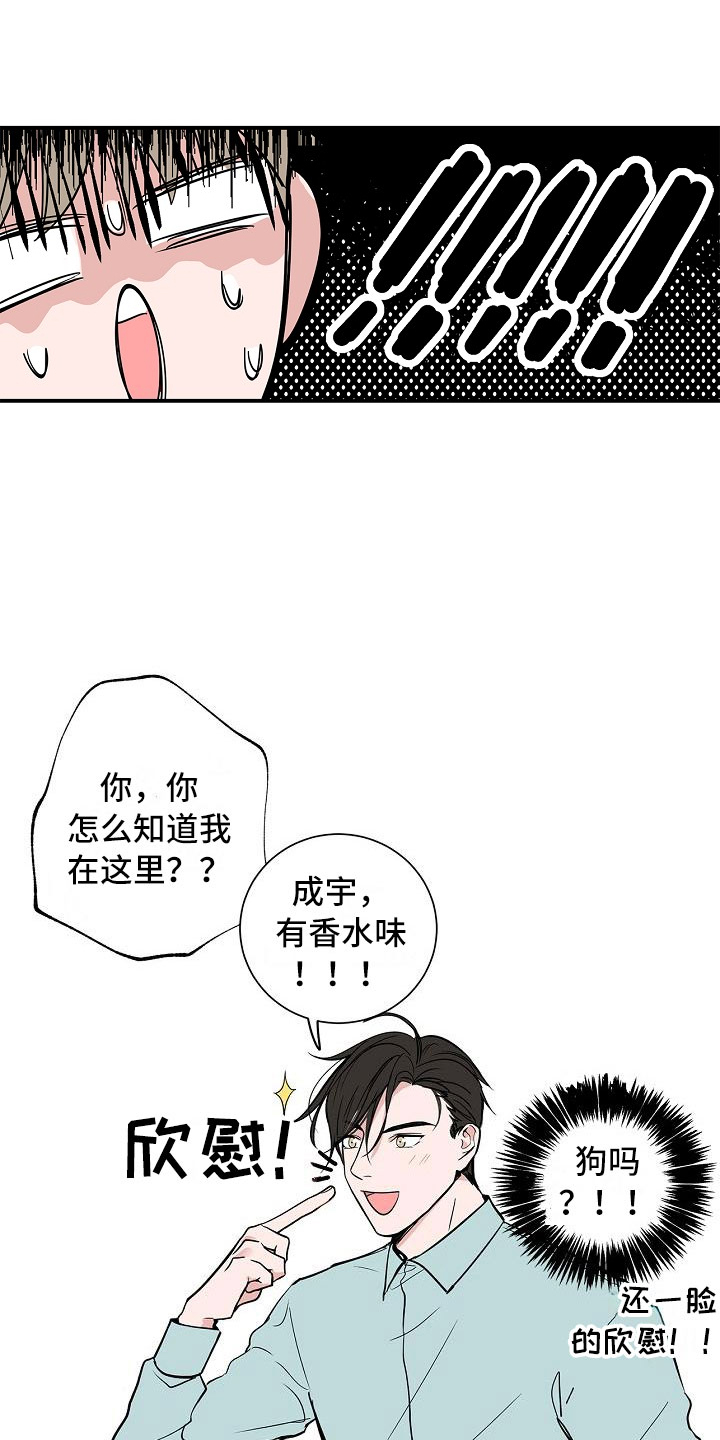 猫狗攻防战漫画,第3章：太狗了3图