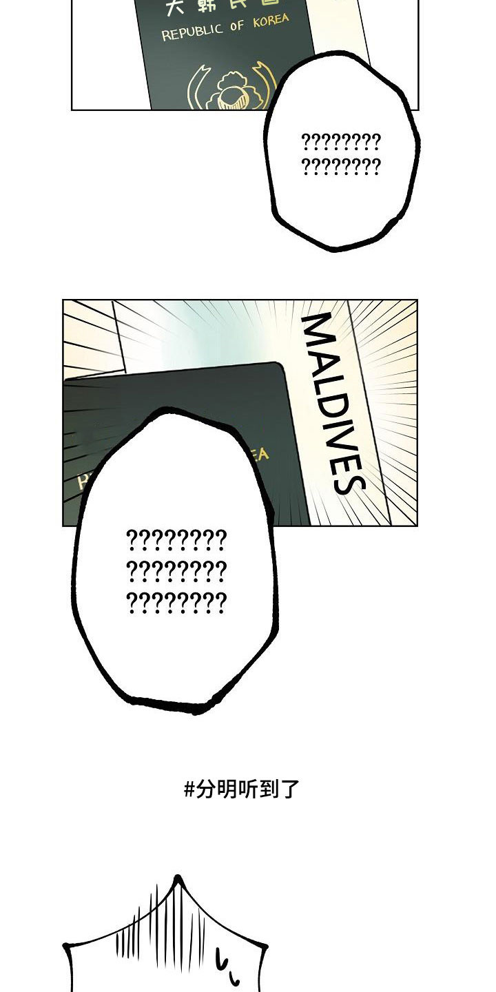 猫狗可爱视频漫画,第64章：去结婚2图