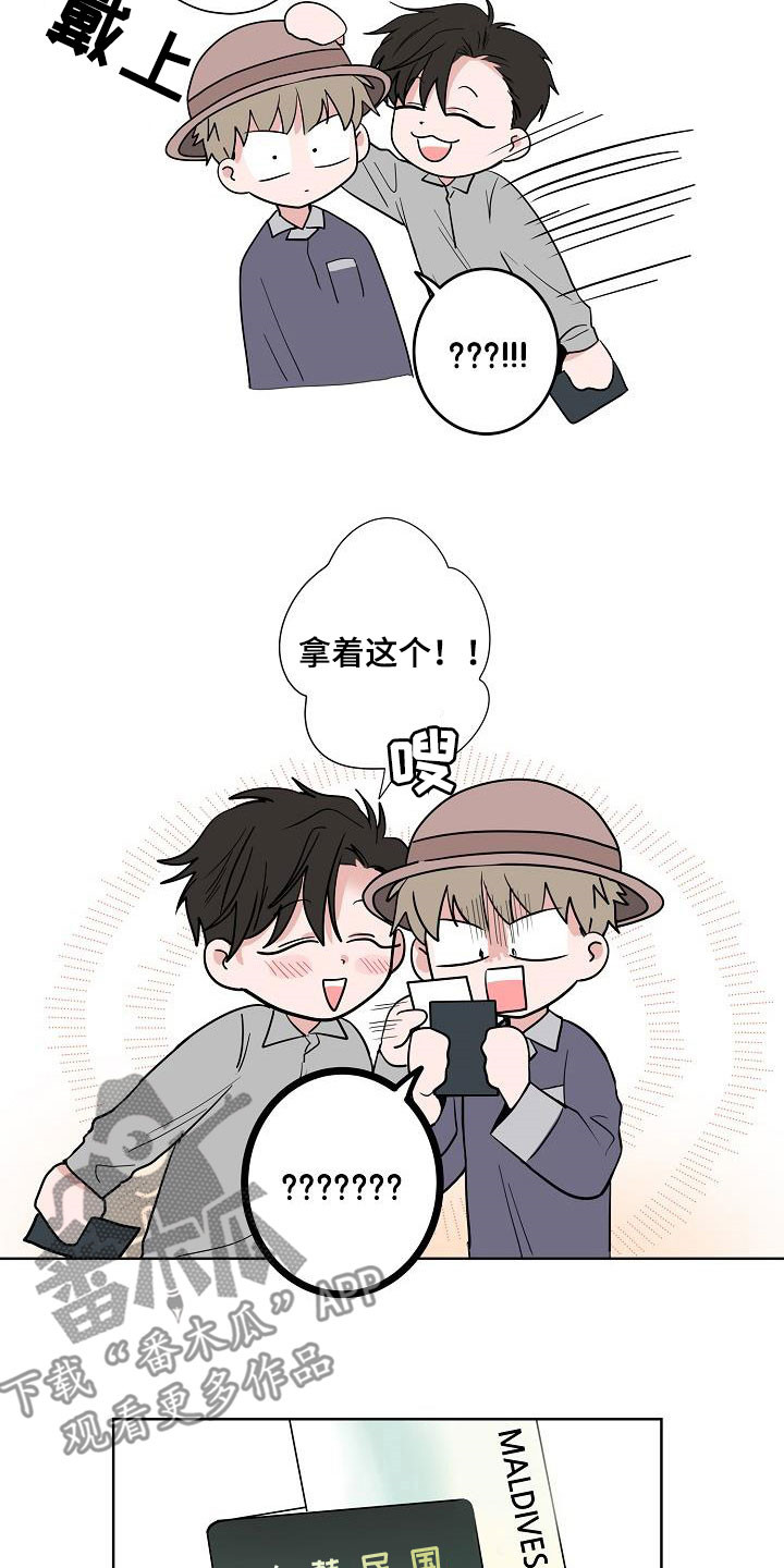 猫狗可爱视频漫画,第64章：去结婚1图