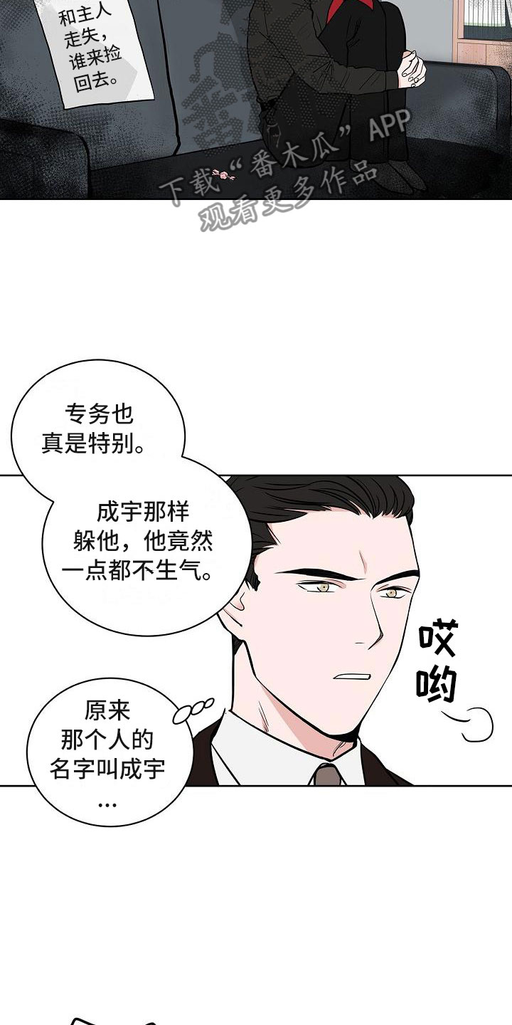 猫狗攻防战漫画,第6章：体贴2图