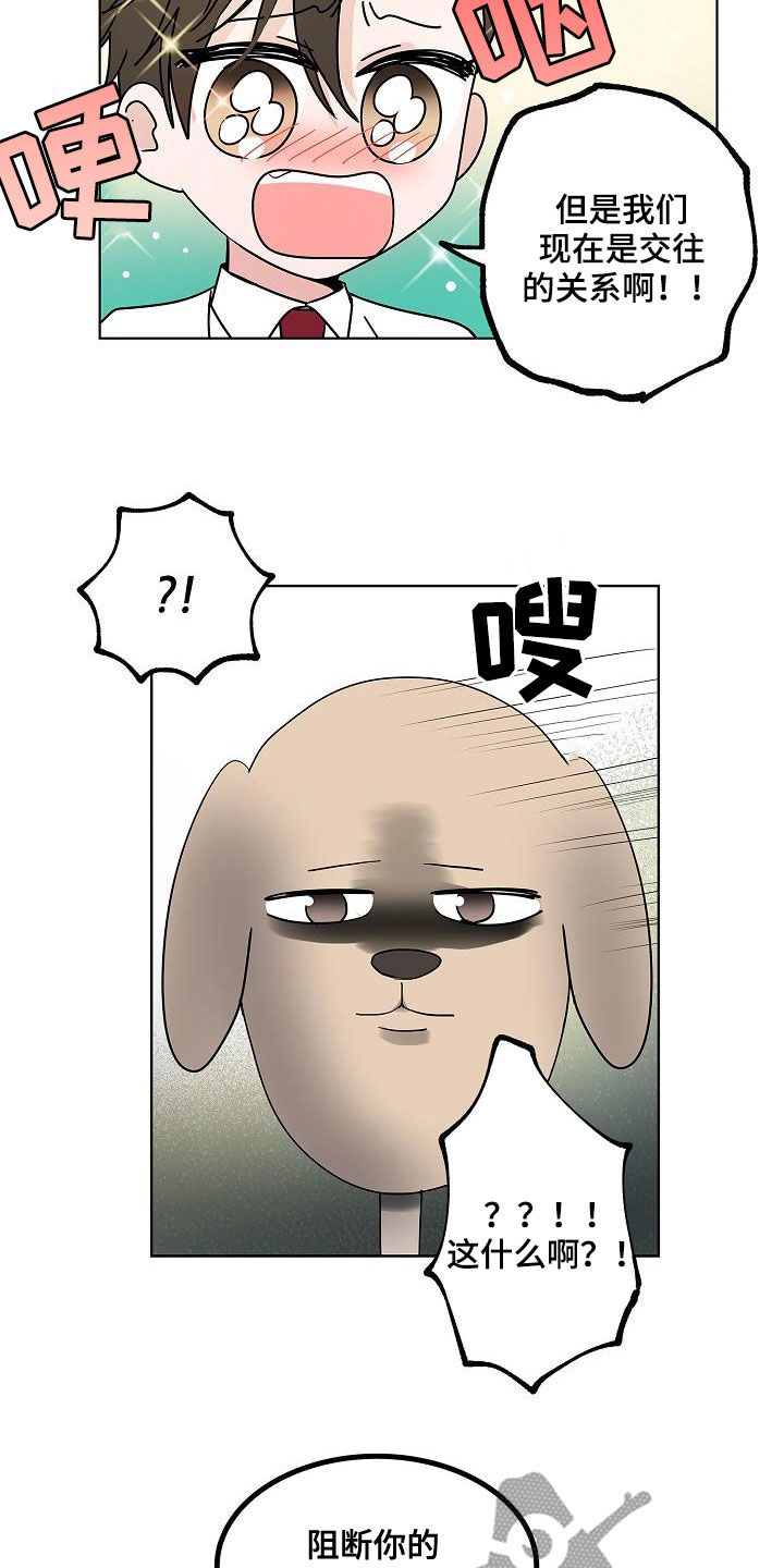 猫狗攻防战漫画,第57章：告别2图