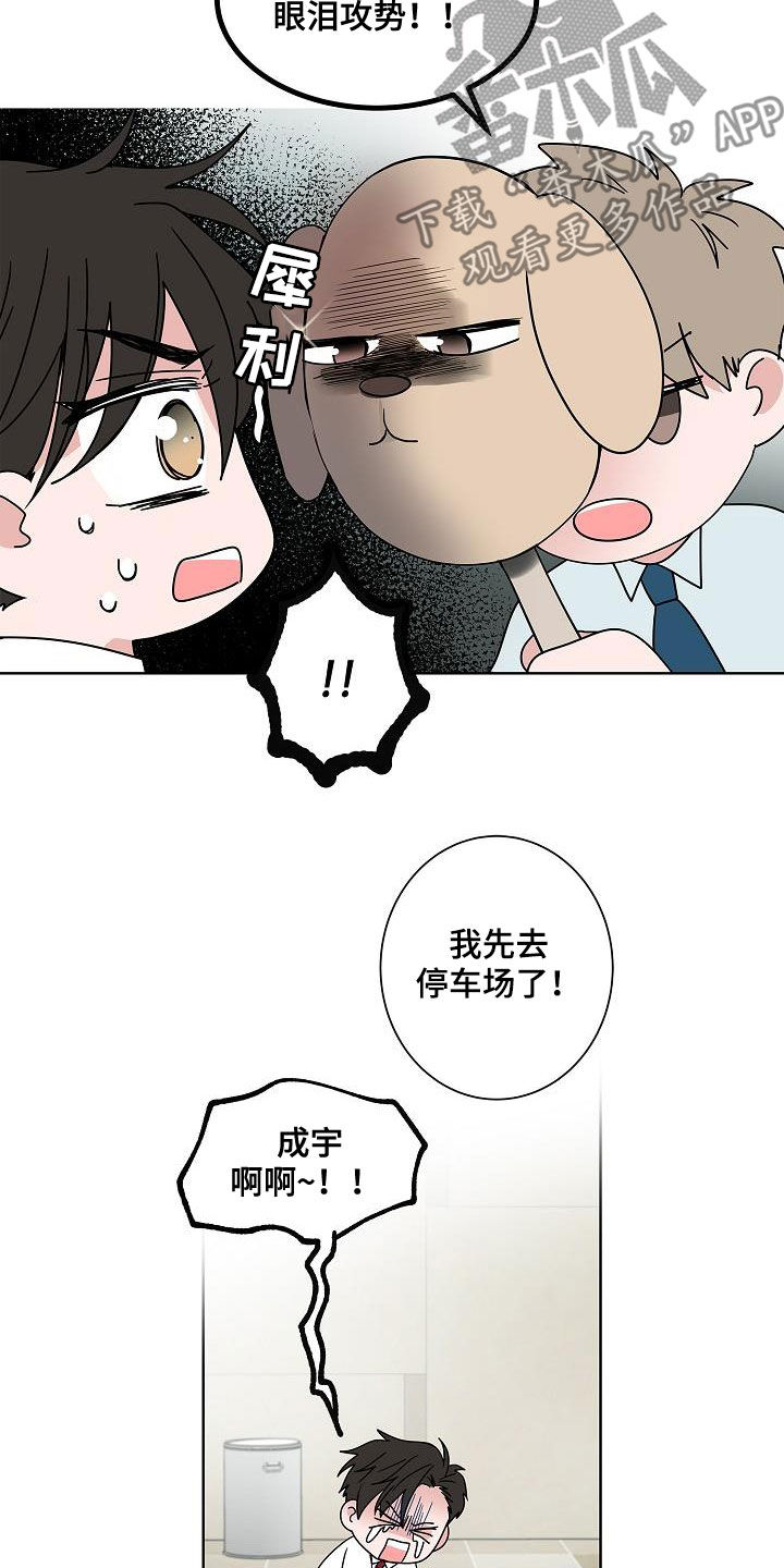 猫狗攻防战漫画,第57章：告别3图
