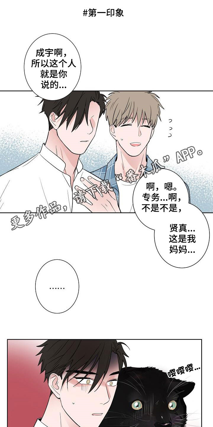 猫狗攻防战漫画,第60章：如释重负1图