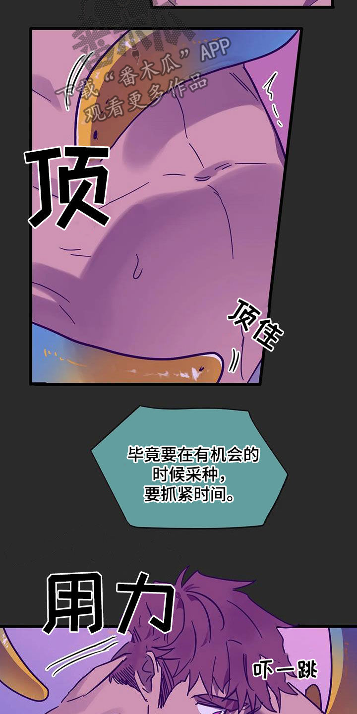 你不要坏坏漫画,第46章：爱的结晶4图