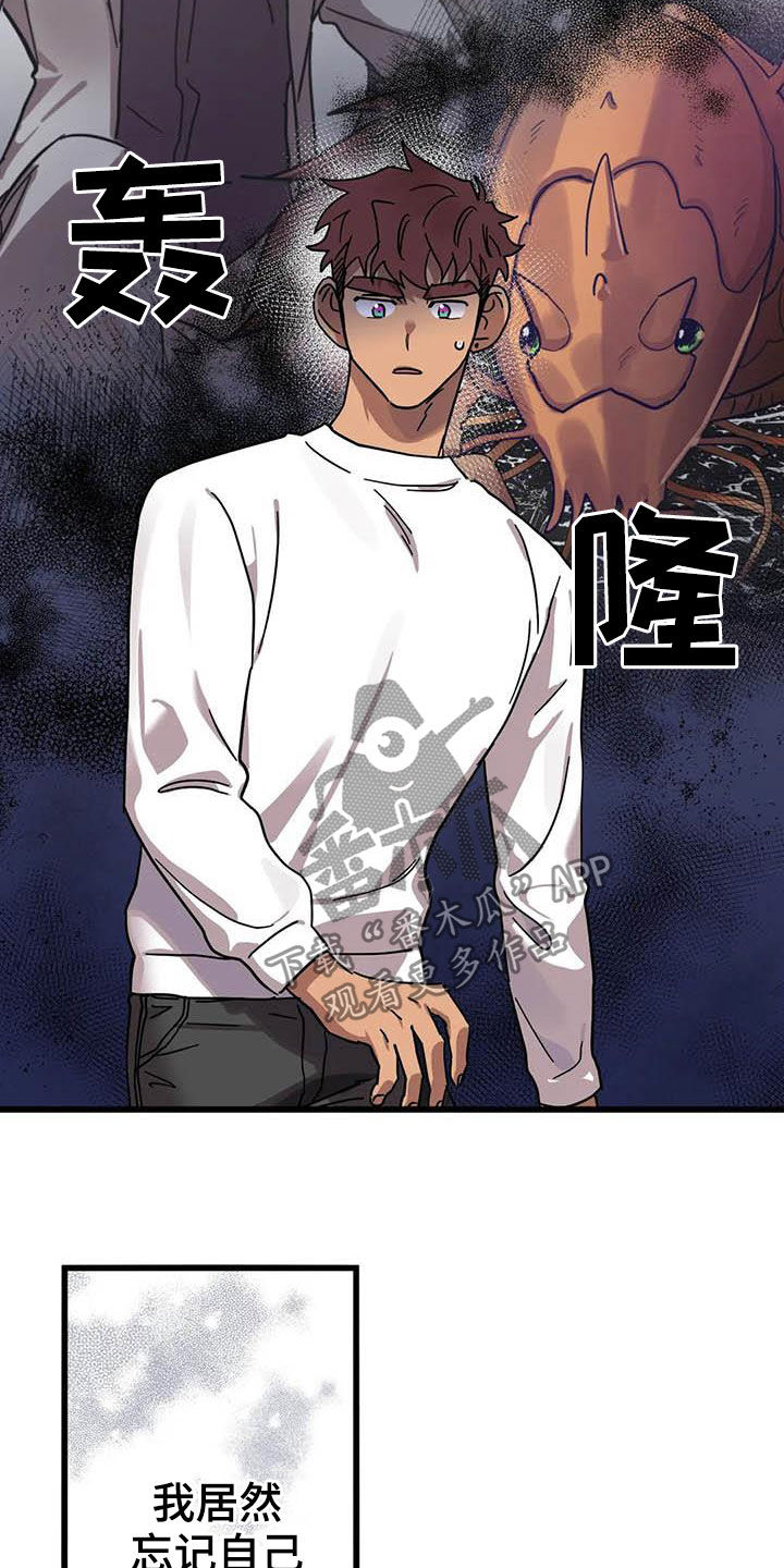 你不懂我的爱歌曲漫画,第37章：没得选择5图