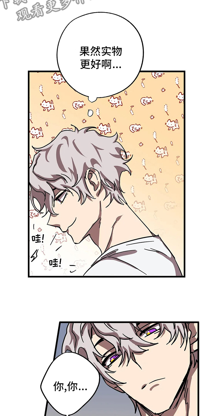 你不要坏坏漫画,第32章：全宇宙最坏4图