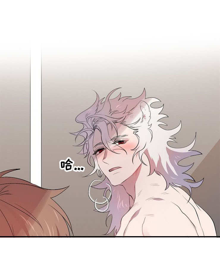 魔力形态漫画,第21章：真身1图