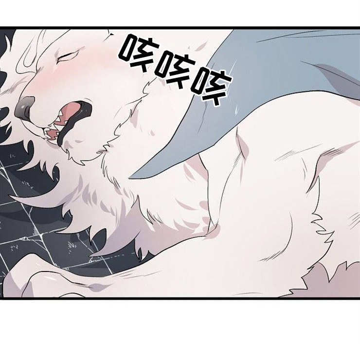 魔力宝贝旅人手游评测漫画,第21章：真身1图