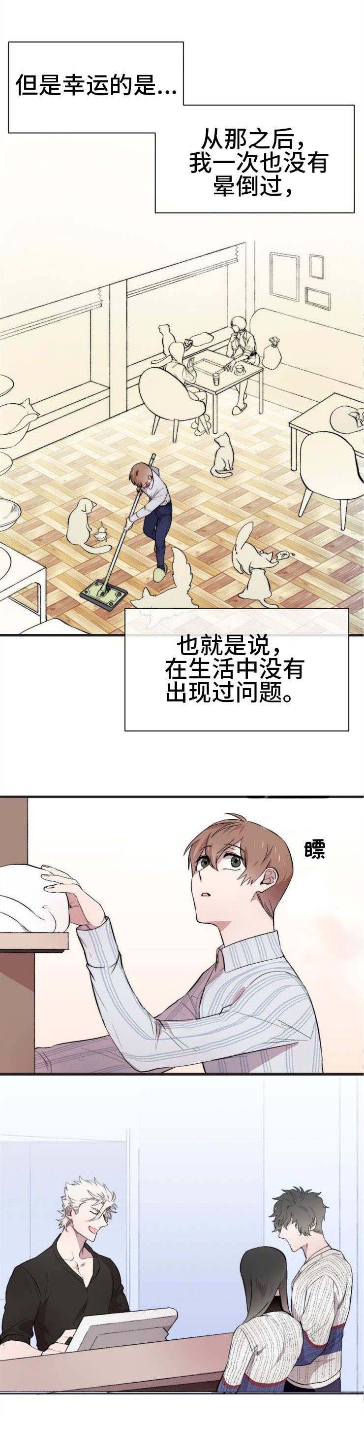 魔力防御数值漫画,第2章：猫咪咖啡店3图