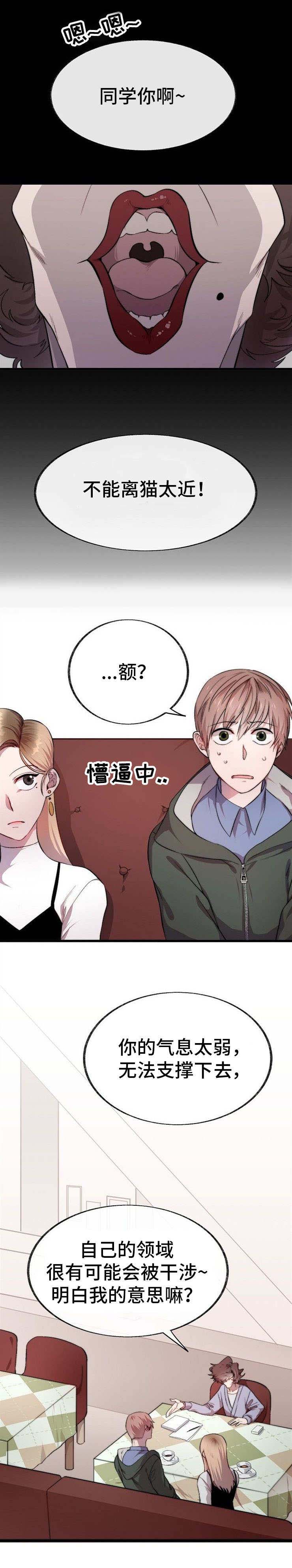 魔鬼鱼秀儿漫画,第1章：占卜3图