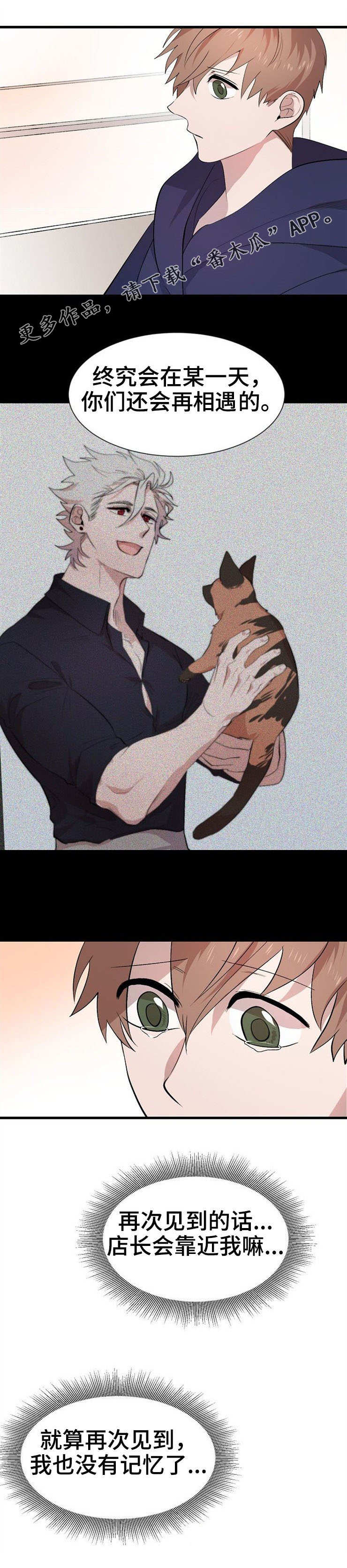 莫离原著小说叫什么漫画,第24章：担忧5图