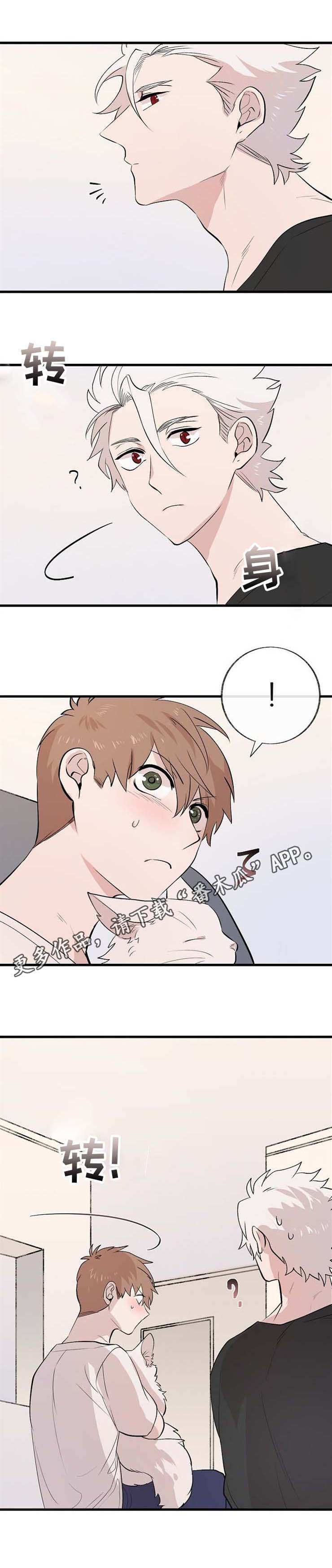 魔力擦玻璃划伤预警漫画,第11章：邀请2图