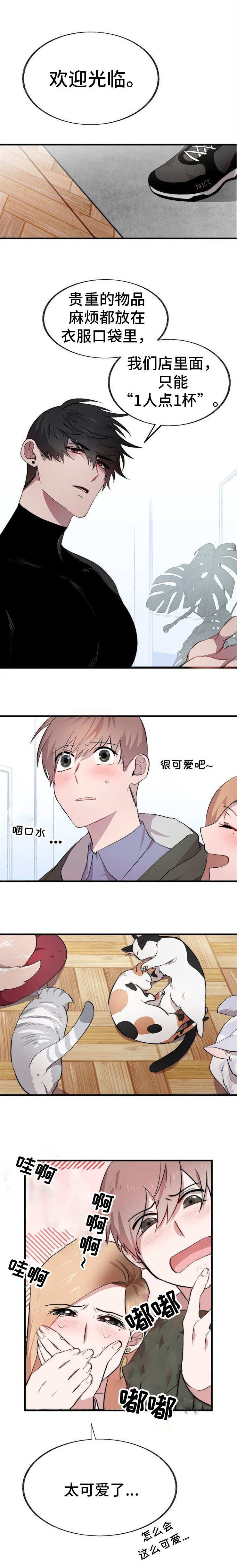 魔力预警漫画,第2章：猫咪咖啡店1图