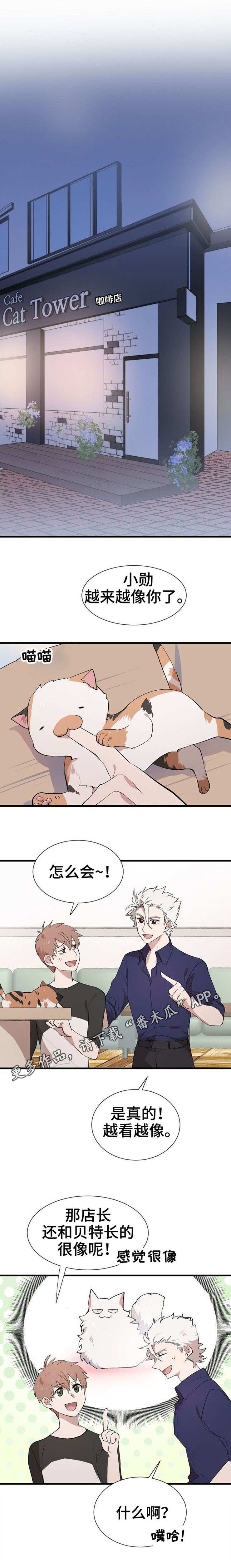 茉莉雨漫画,第28章：帮忙1图