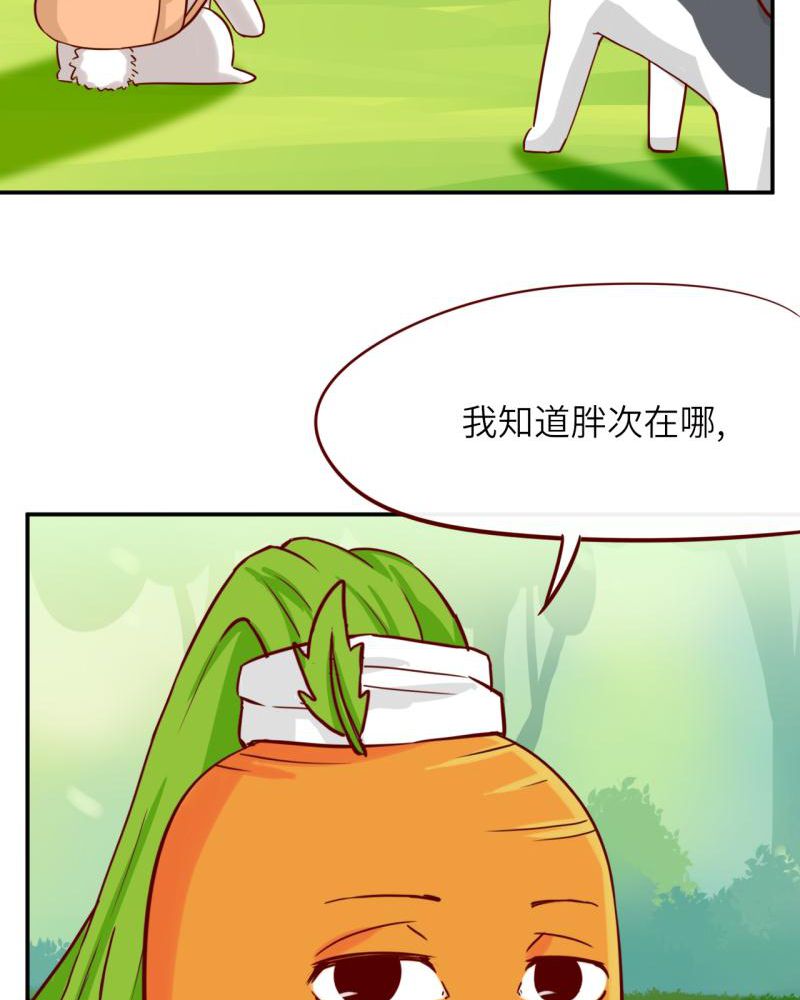 胖次异闻录Ⅱ漫画,第39章：1图
