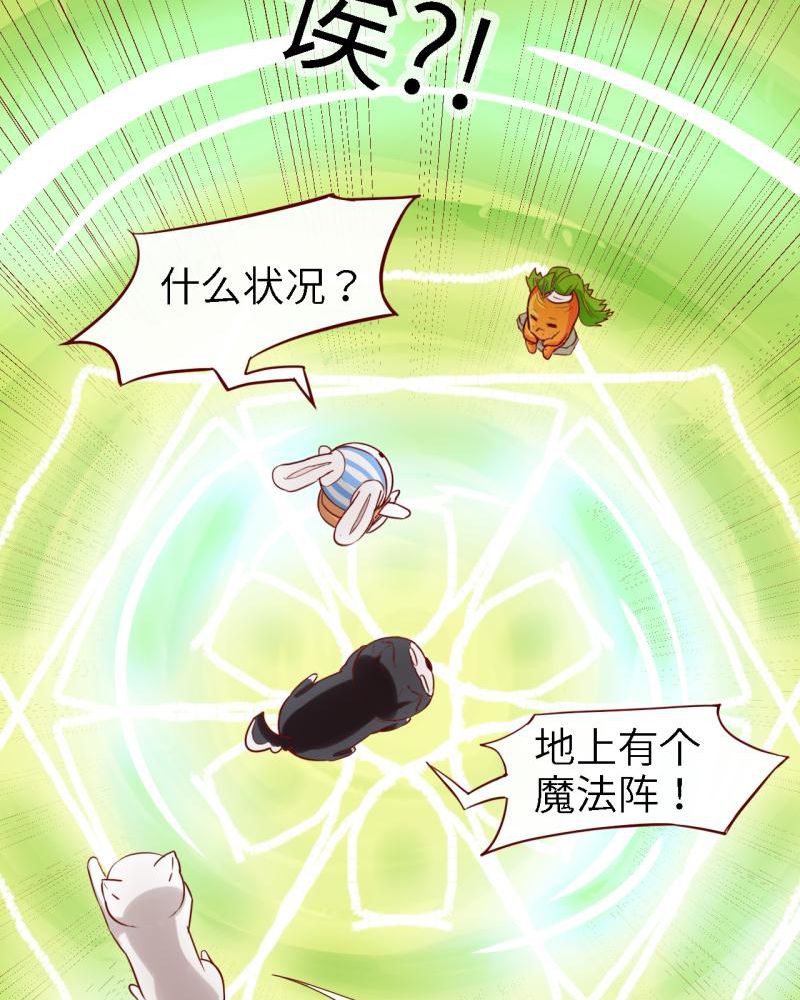 胖次异闻录Ⅱ漫画,第39章：1图