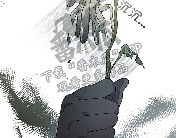 欺诈公爵漫画,第18章：礼物4图