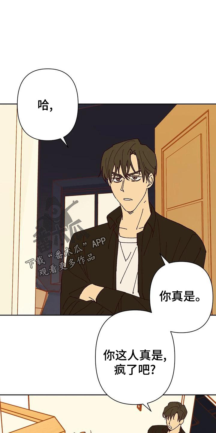 未来的生活漫画,第44章：提议1图