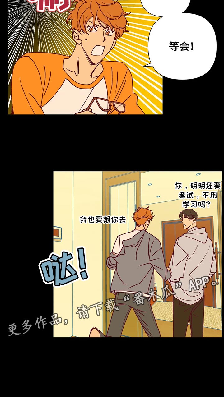 未来的生活漫画,第90章：找房子2图
